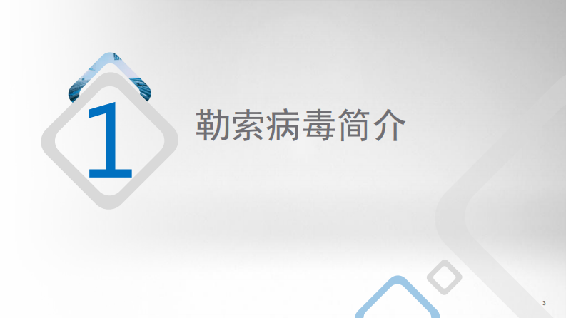 针对VMware vSphere的勒索病毒的预防（任大桅）.pdf 第3页