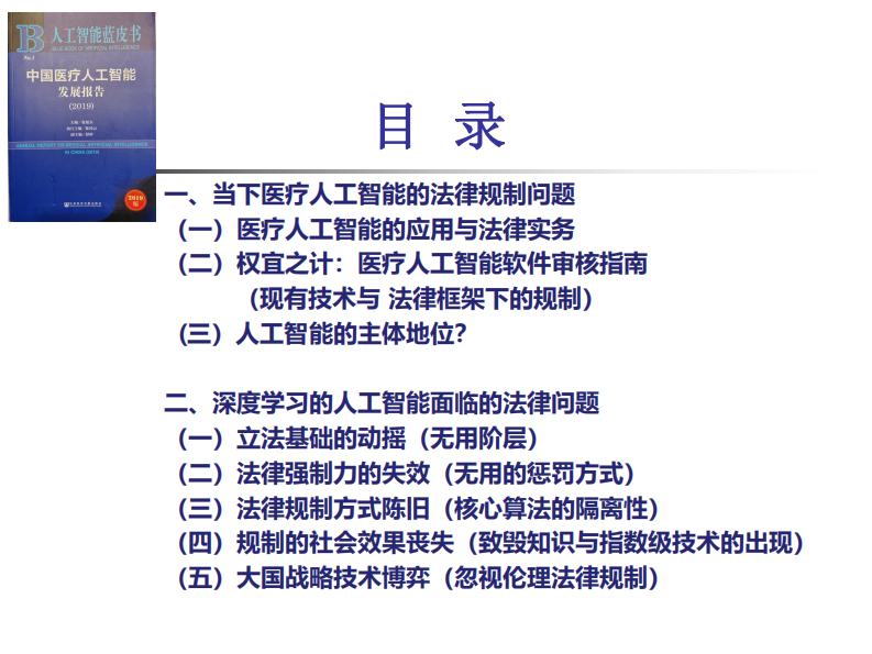 AI法律规制（曾益康）.pdf 第2页