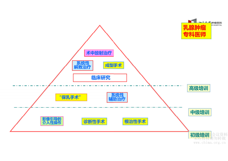 5.王立泽 肿瘤专科医院临床科室线上诊疗系统应用.pdf 第3页