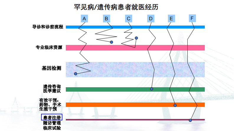 顾卫红：罕见病注册系统的建设管理与表型数据标准化.pdf 第3页
