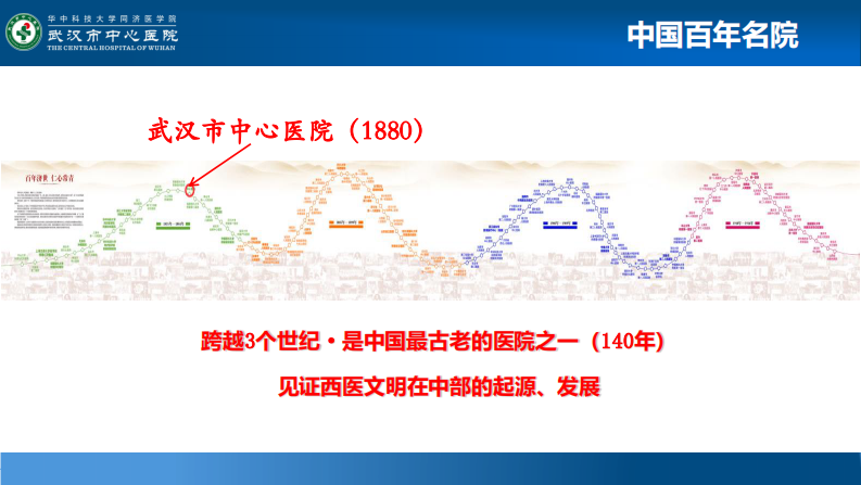 左秀然：临床辅助决策支持能力的构建与思考.pdf 第4页