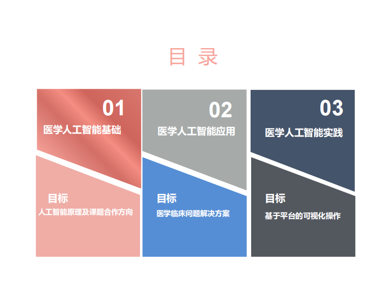 宋博强-医学人工智能原理及实践.pdf 第3页