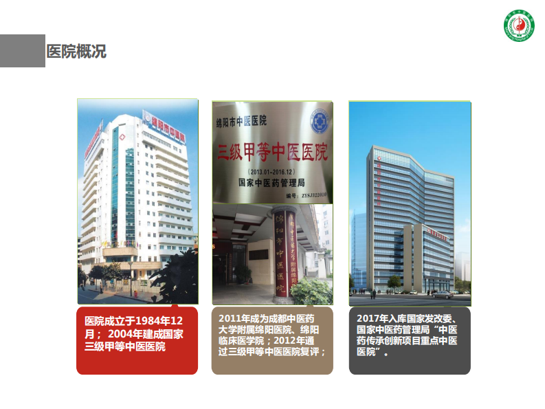 王小琼：基于大数据的中医诊疗平台建设与思考.pdf 第3页