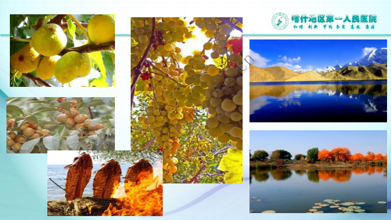 新疆喀什地区第一人民医院：一带一路战略下新疆地区医疗联盟信息一体化构建.pdf 第4页