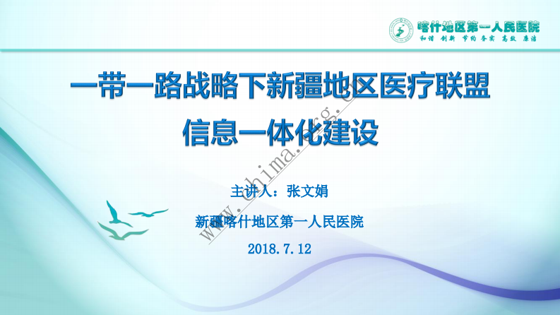 新疆喀什地区第一人民医院：一带一路战略下新疆地区医疗联盟信息一体化构建.pdf 第1页