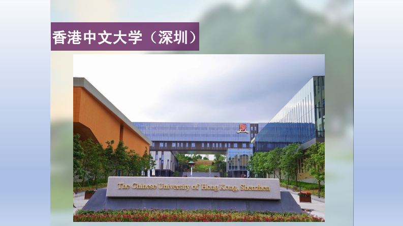 医疗健康大数据分析.pdf 第3页