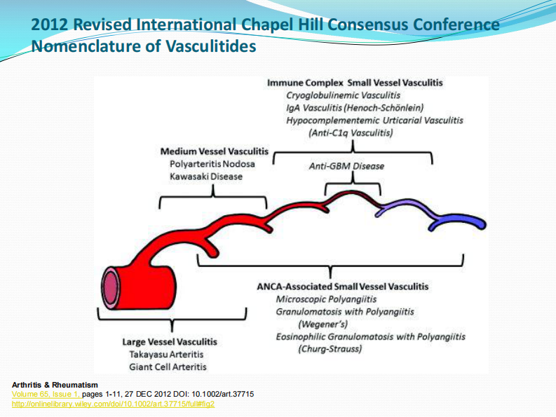 ANCA胸部CT影像表现--黄伟.pdf 第3页