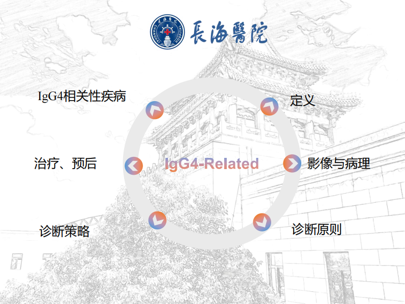 自身免疫性胰腺炎--陆建平.pdf 第3页