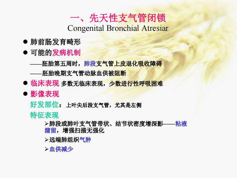 肺部先天性疾病-陈宏伟.pdf 第2页