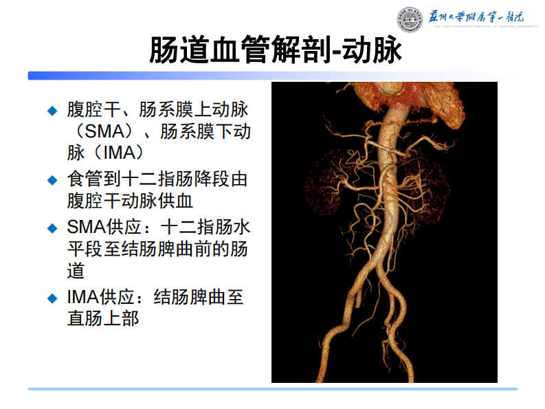 小肠缺血性病变CT--王希明.pdf 第5页