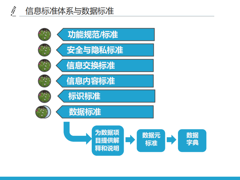 健康数据标准化与医学术语.pdf 第3页