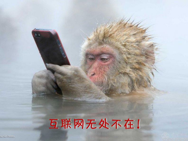 互联网医疗展望【沈韬】.pdf 第2页