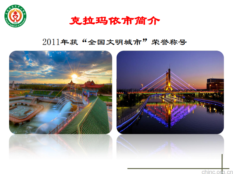 临床决策支持在克拉玛依市中心医院的实践与应用【叶舟】.pdf 第5页