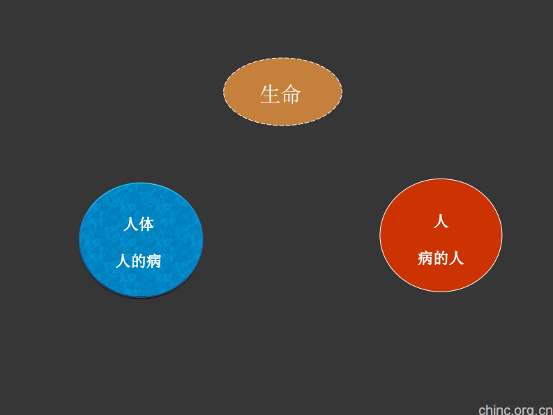 新时代中医个体化诊疗能力提升的思考【刘保延】.pdf 第4页