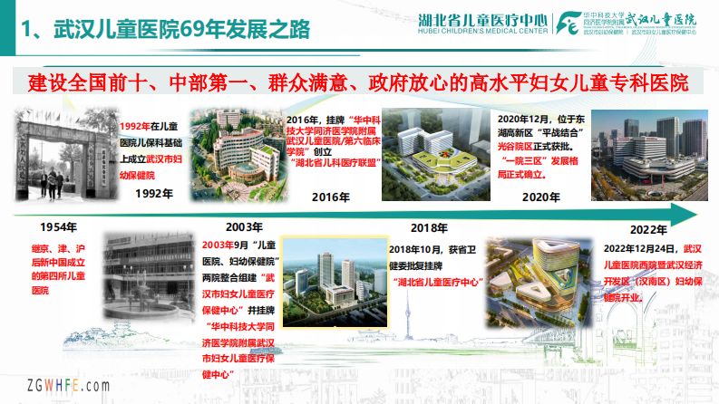 肖翠萍-湖北儿科远程医疗协作网的探索与实践.pdf 第4页