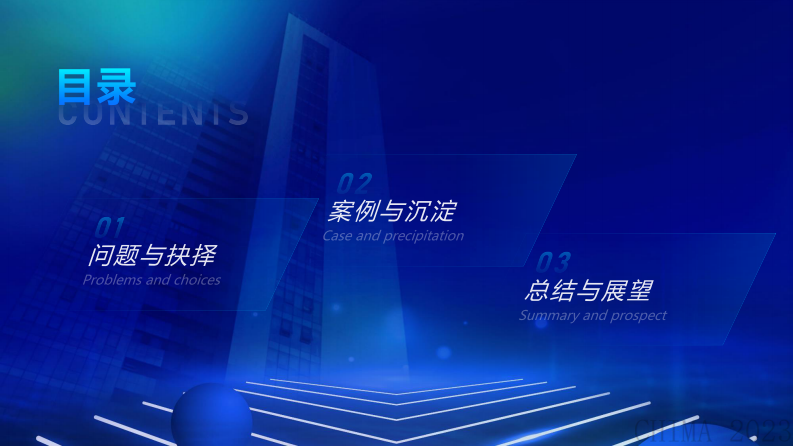 张亮-医共体信息化建设难点与策略.pdf 第2页