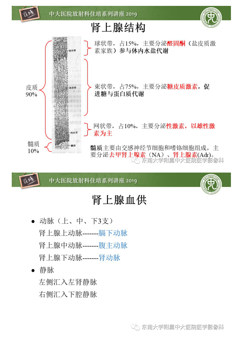 20200407_1【中大放射住培系列讲座】肾上腺病变临床与影像思路分析.pdf 第3页