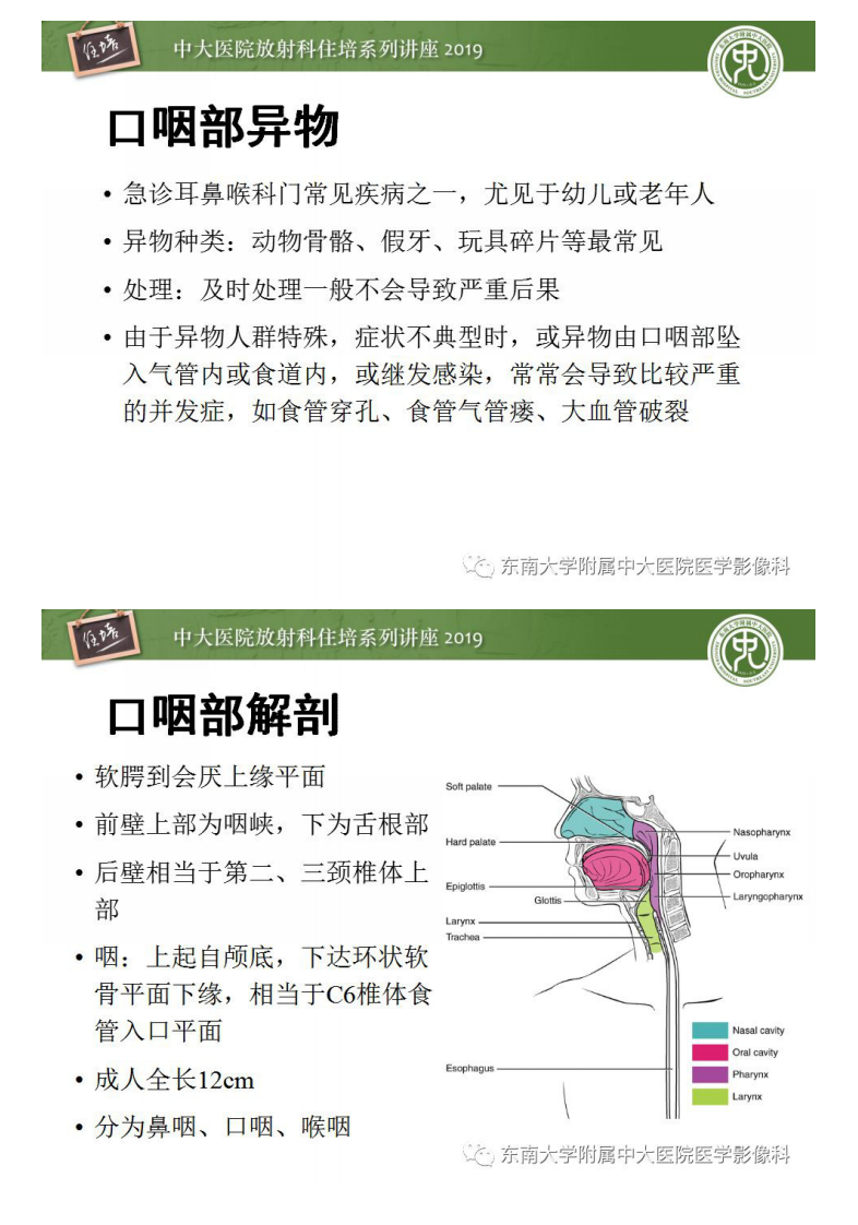 20190316_1【中大放射住培系列讲座第53期】口咽部异物及感染性病变的影像诊断.pdf 第2页