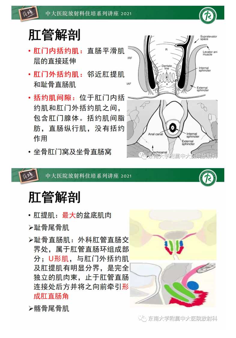 20210601_1【中大放射住培系列讲座】肛瘘的影像诊断及评估.pdf 第3页
