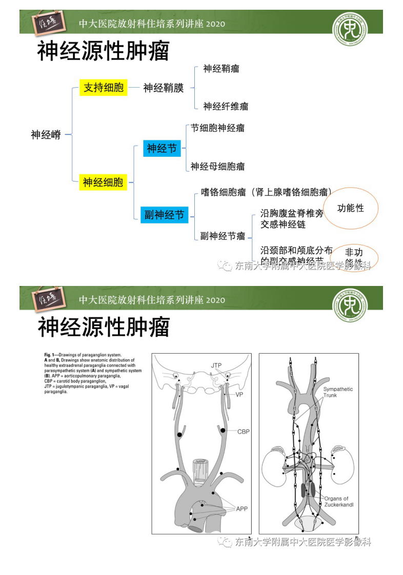 20201228_1【中大放射住培系列讲座】头颈部神经源性肿瘤的影像诊断.pdf 第2页