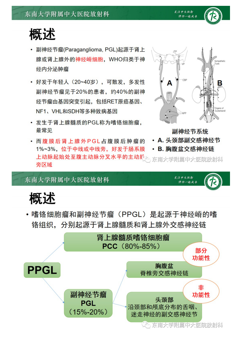 20210319_2【晨读结果公布】2021.03.18泌尿生殖系统疾病——腹膜后副神经节瘤.pdf 第4页