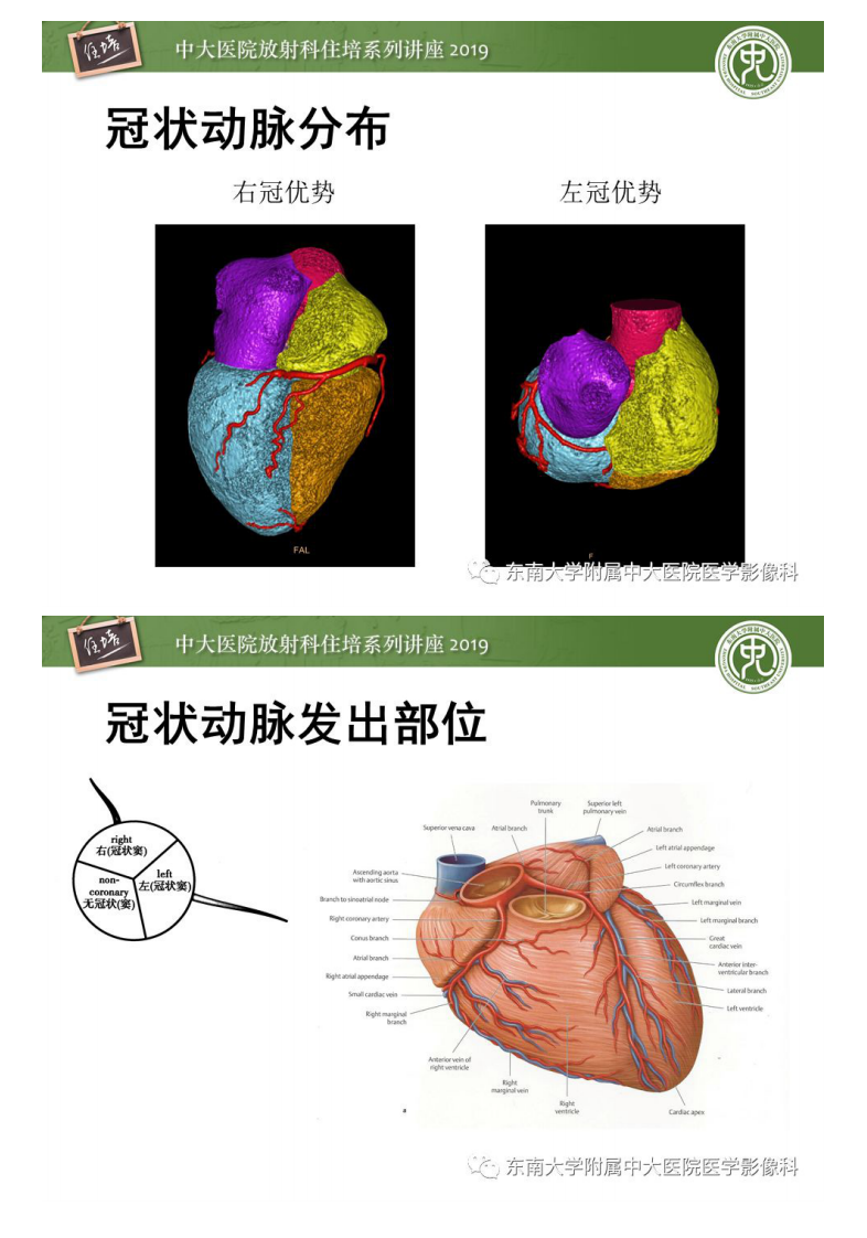 20190901_1【中大放射住培系列讲座第76期】冠状动脉CTA诊断流程.pdf 第5页