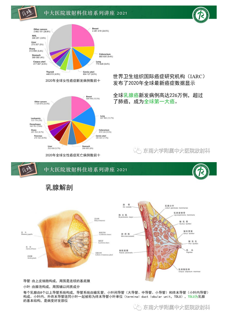 20210228_1【中大放射住培系列讲座】DBT相较于FFDM对于不同X线表现类型乳腺病变的诊断价值.pdf 第2页