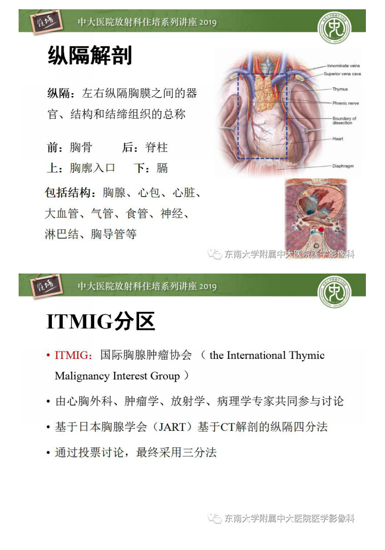 20190128_1【2018住培系列讲座第47期】纵隔分区及常见纵隔占位的影像诊断.pdf 第2页