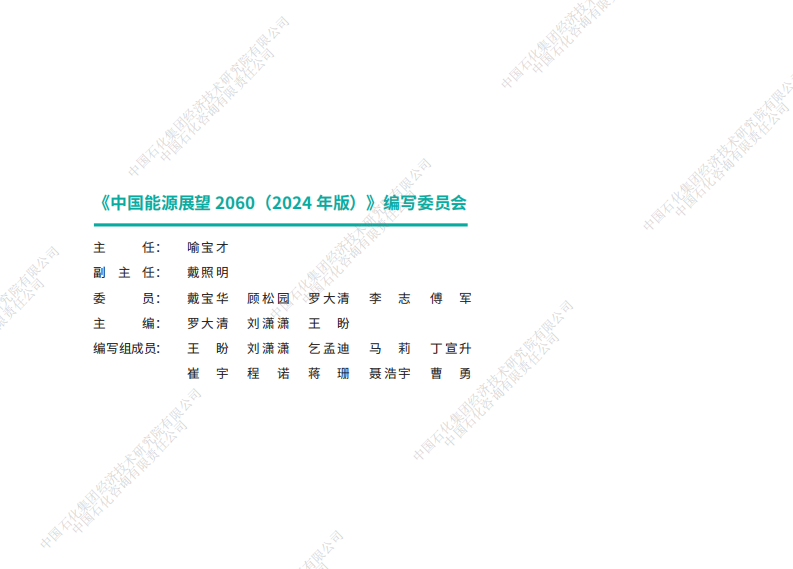 中国能源展望2060（2024年版）-中国石化-2024-107页.pdf 第2页