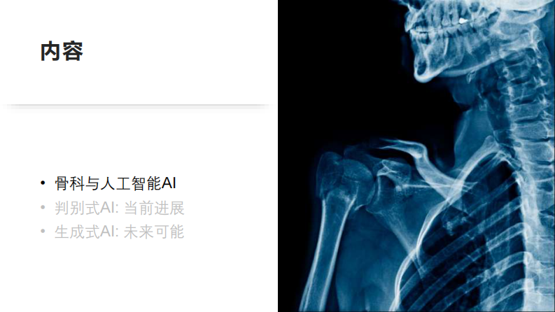 20240403-骨科智能.pdf 第2页