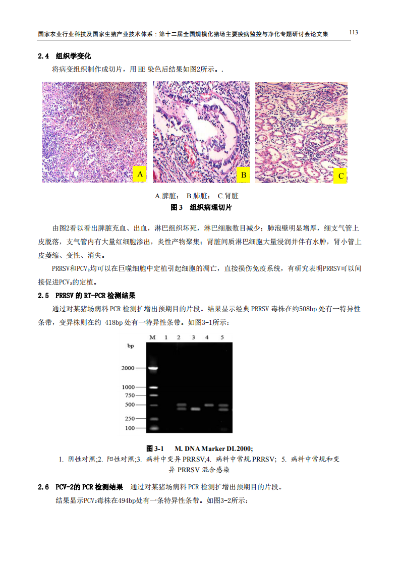 临床猪繁殖与呼吸综合征与猪2型圆环病混合感染的诊断分析.pdf 第4页