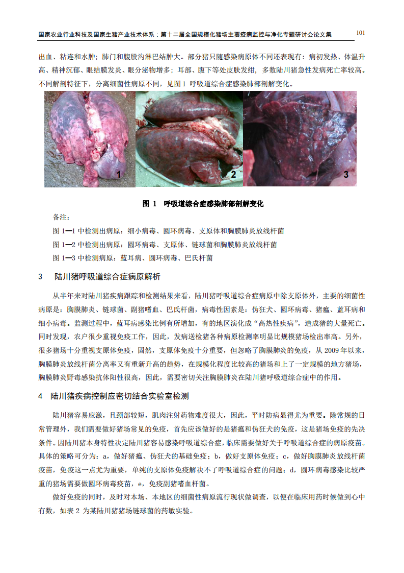 陆川猪常见传染病调查和控制思路.pdf 第3页