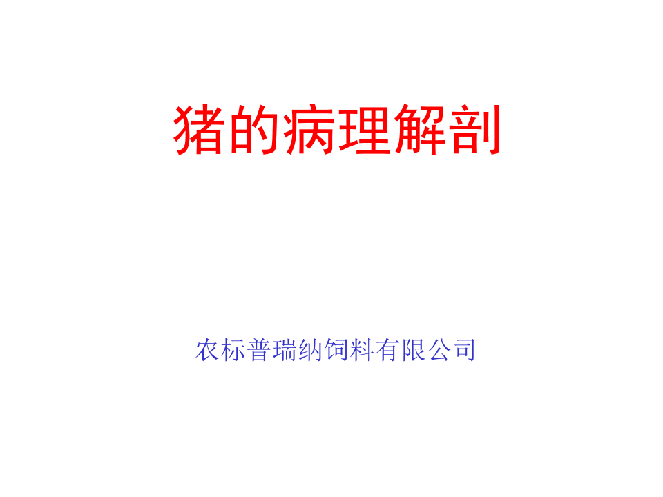 猪的病理解剖1.ppt 第1页