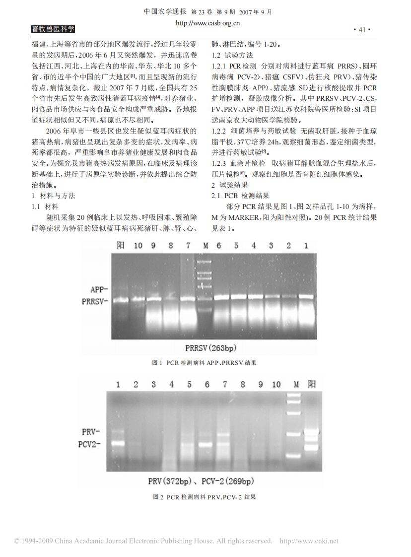 猪蓝耳病及继发感染试验诊断及综合防治研究.pdf 第2页