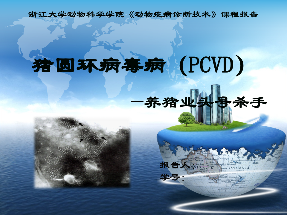 猪圆环病毒病海量图片.ppt 第1页