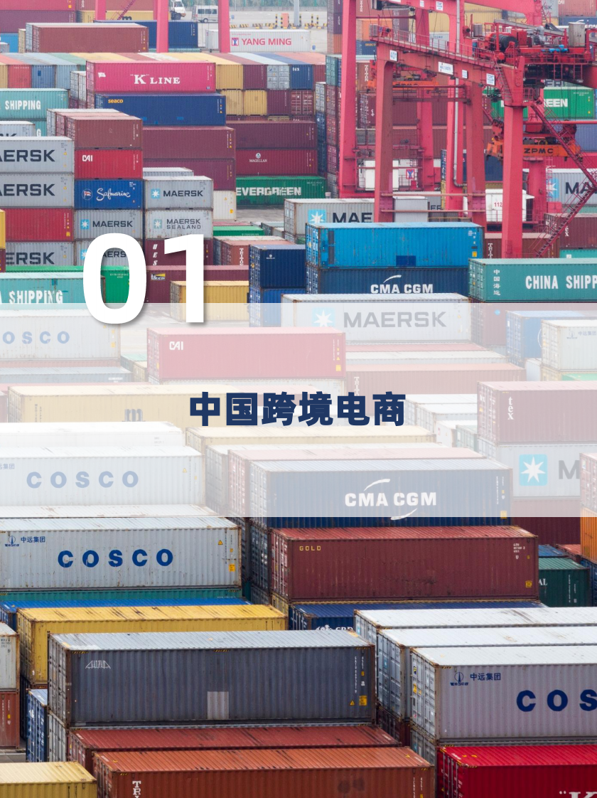 跨境电商物流：百舸争流千帆竟，长风破浪正当时-物联云仓-2024.6-29页.pdf 第3页