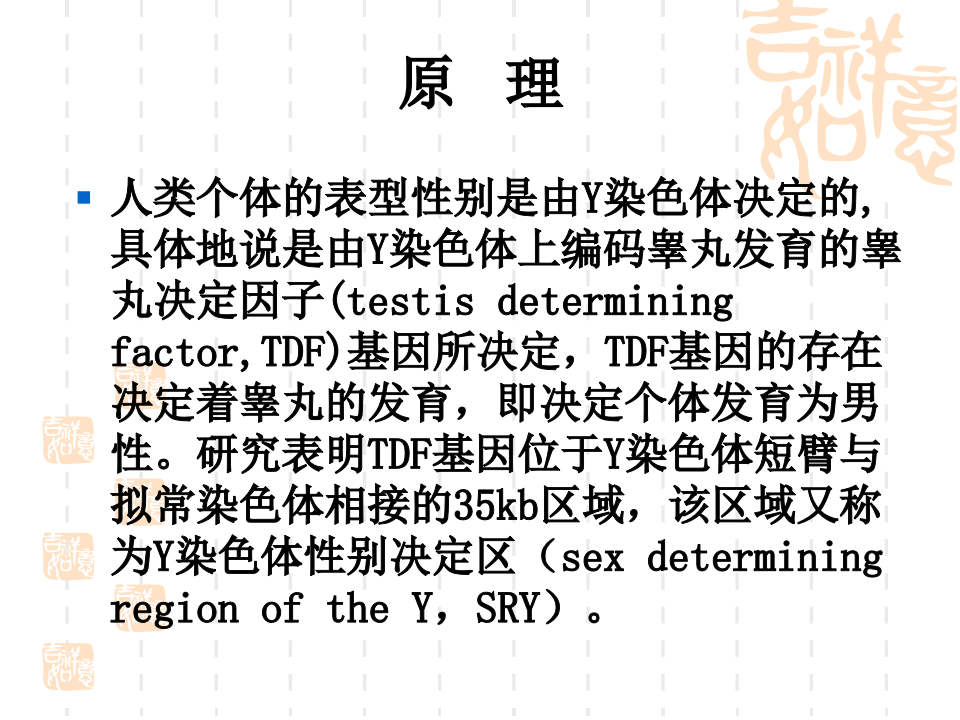 4.用PCR扩增法检测性别.ppt 第3页