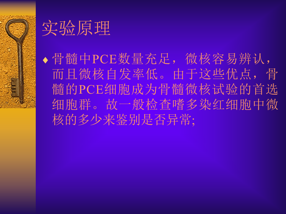 小鼠骨髓嗜多染红细胞微  100.ppt 第4页