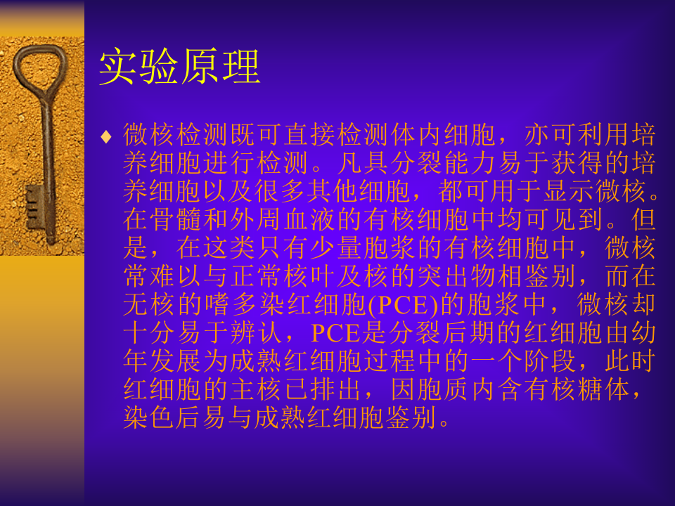 小鼠骨髓嗜多染红细胞微  100.ppt 第3页