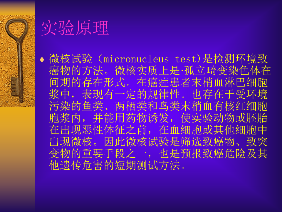 小鼠骨髓嗜多染红细胞微  100.ppt 第2页