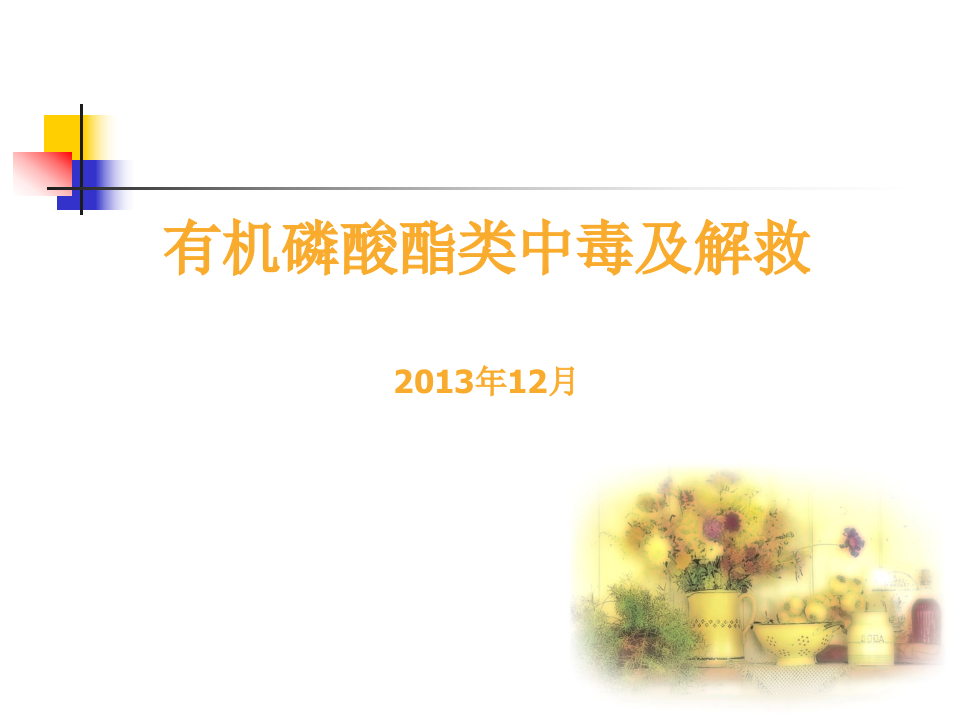 2013有机磷酸酯类中毒及解救.ppt 第1页