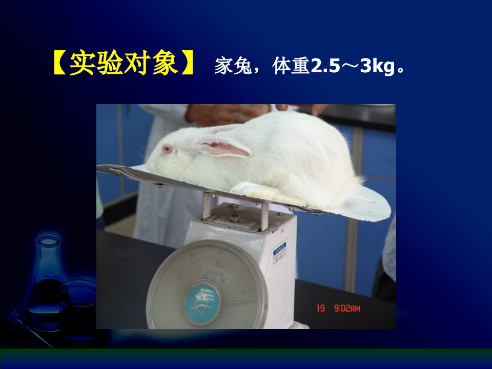 复件 水杨酸课件.ppt 第5页