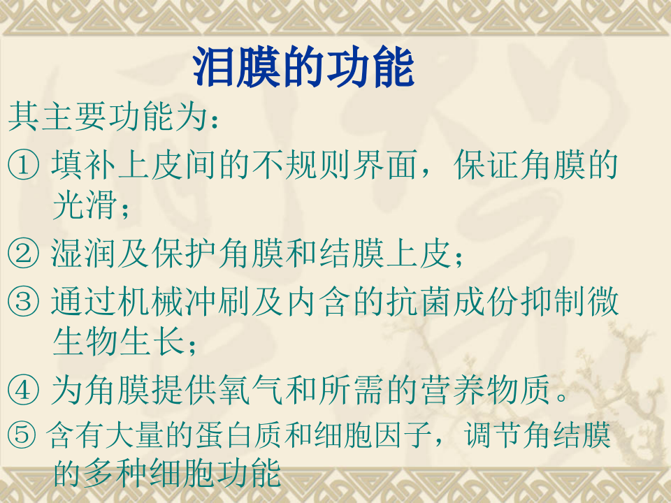 4)眼表疾病.ppt 第5页