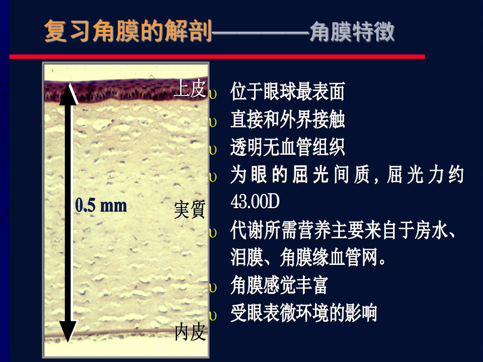 7)角膜病.ppt 第5页
