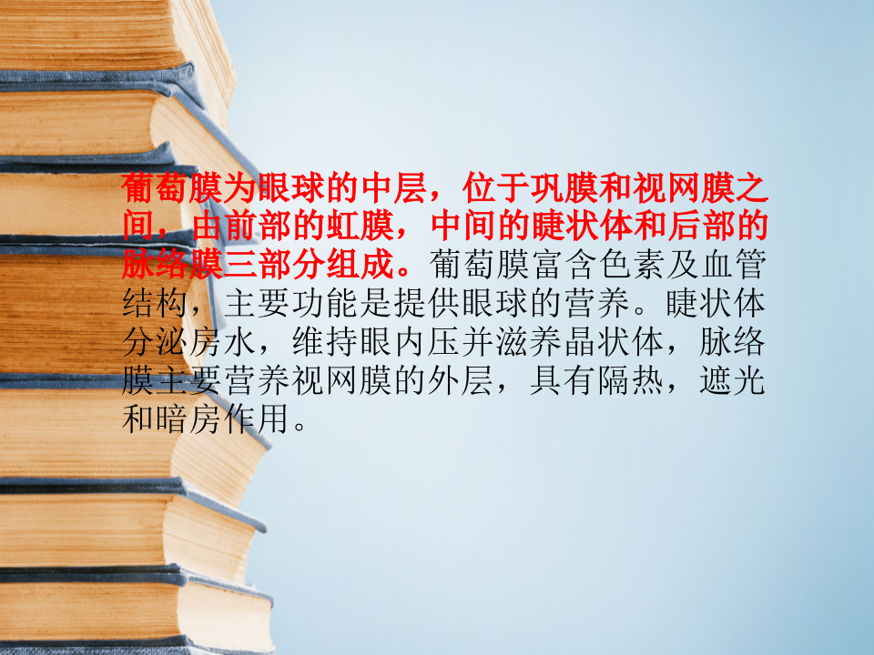 10)葡萄膜炎.ppt 第3页
