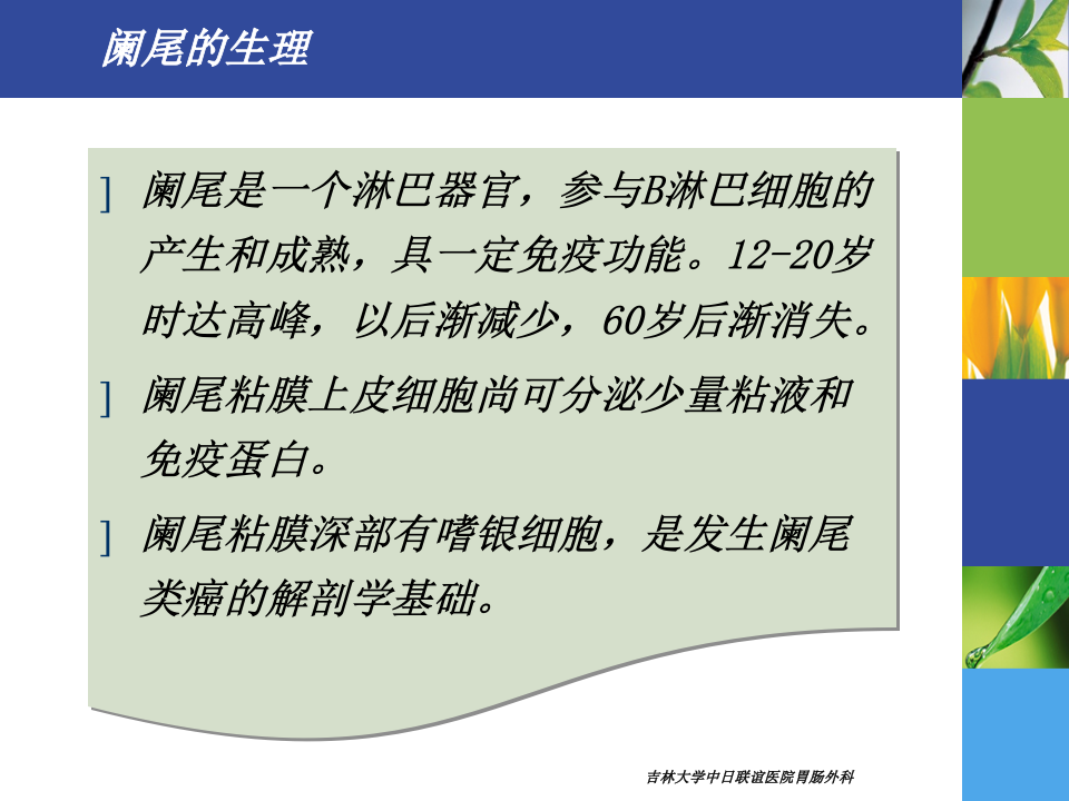 8)春季《护理本科-阑尾疾病》胃肠外科-高硕徽.ppt 第5页