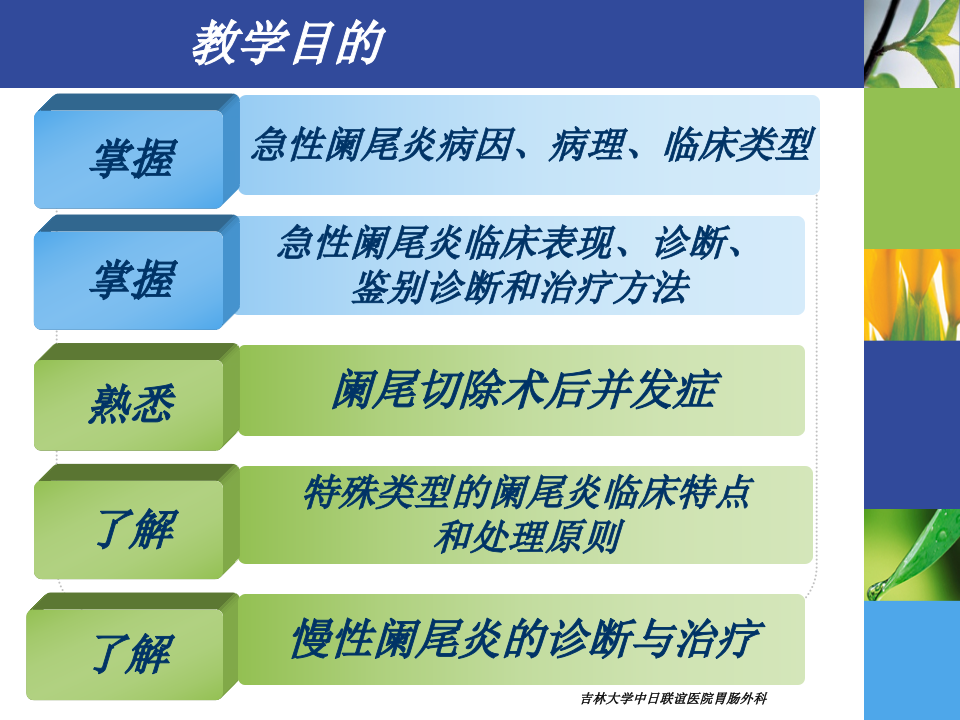8)春季《护理本科-阑尾疾病》胃肠外科-高硕徽.ppt 第2页