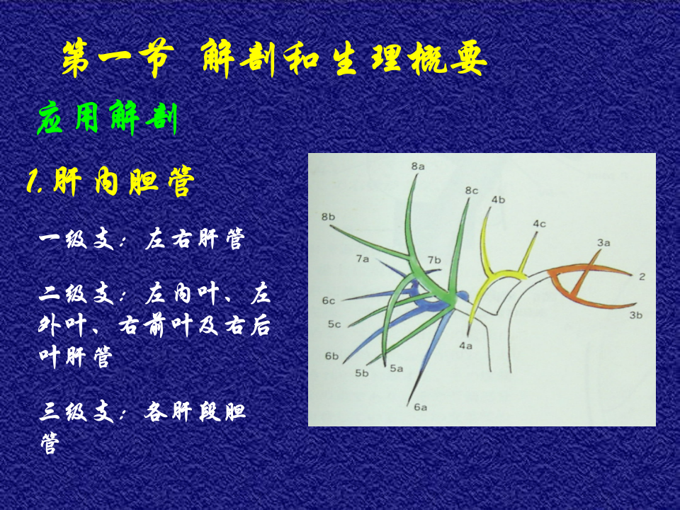 12)胆道疾病第一节.ppt 第3页