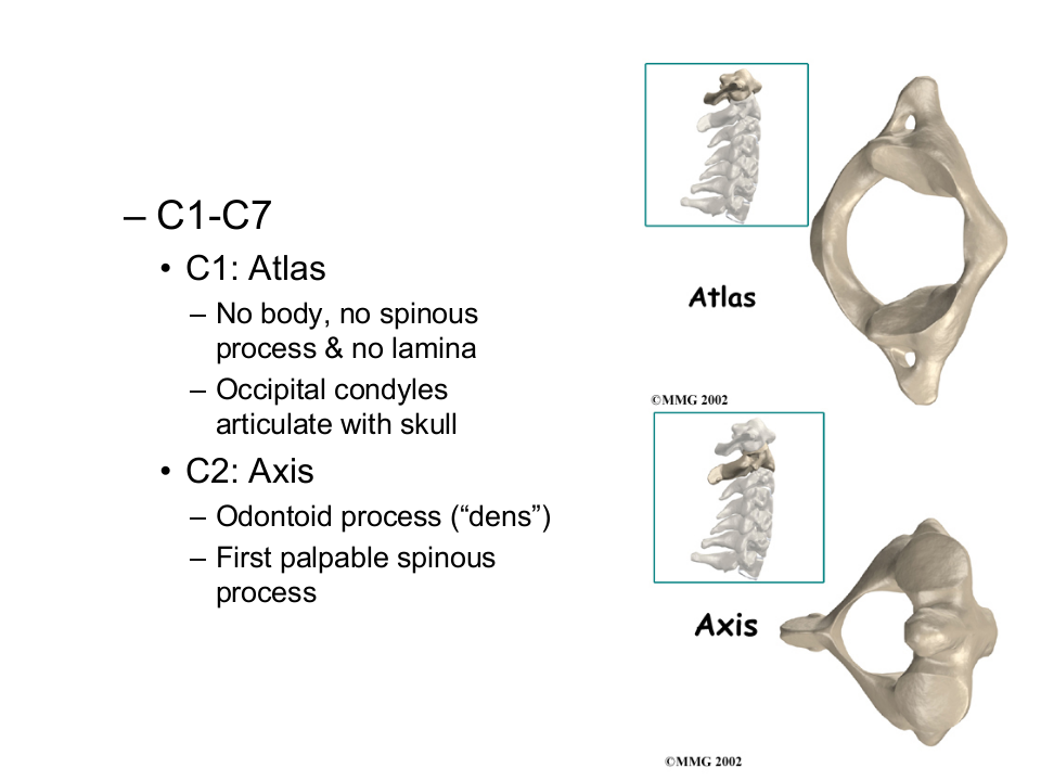 21)椎间盘突症颈间盘突出症.ppt 第4页