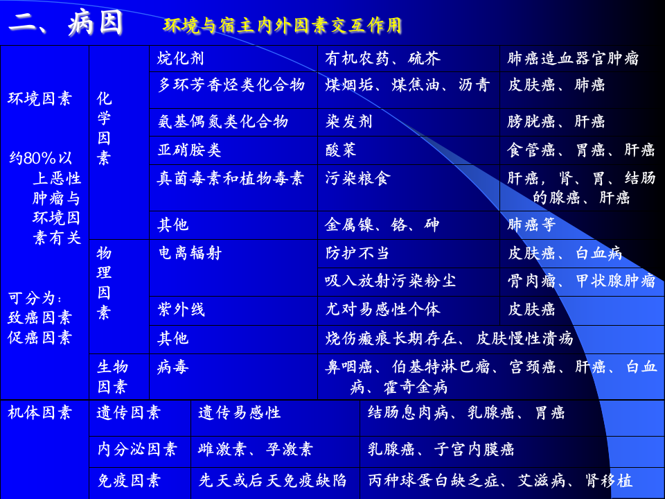 肿瘤正式!.ppt 第5页